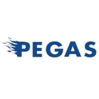 Вся техника Pegas