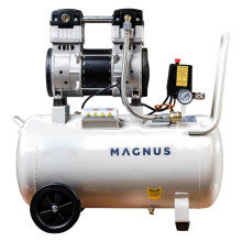 Компрессор воздушный безмасляный Magnus K-310/50OF