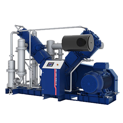 Компрессор поршневой DALGAKIRAN PETMASTER 300 VSD Компрессор поршневой DALGAKIRAN PETMASTER 300 VSD