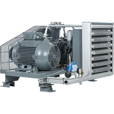 Компрессор поршневой DALGAKIRAN DBK-30 (O) Компрессор поршневой DALGAKIRAN DBK-30 (O)