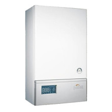 Электрический котел Ferroli LEB 12.0 (TS) (GCDO206A) Электрический котел Ferroli LEB 12.0 (TS) (GCDO206A)